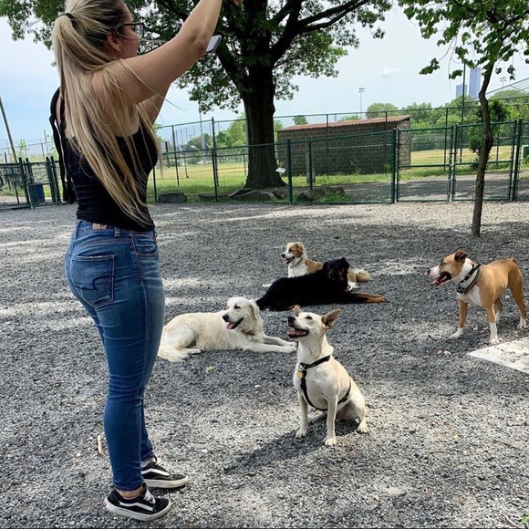 Meet your Posher, Pamela - Picture 2 of 5